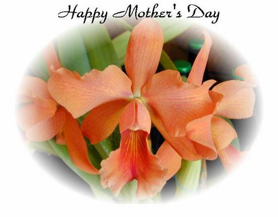 Happy Mother's Day3.jpg (48876 bytes)